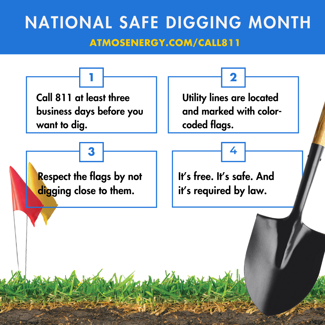 NSDM Social Graphic_2 (002)